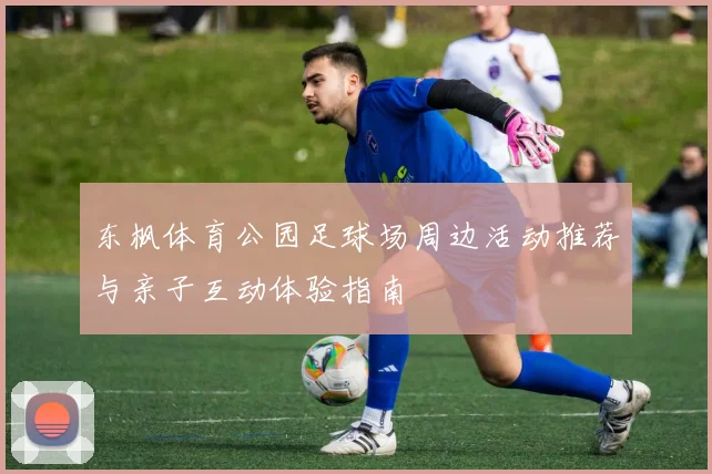 东枫体育公园足球场周边活动推荐与亲子互动体验指南