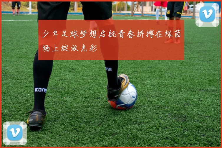 少年足球梦想启航青春拼搏在绿茵场上绽放光彩