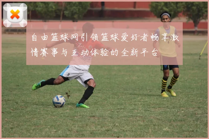 自由篮球网引领篮球爱好者畅享激情赛事与互动体验的全新平台