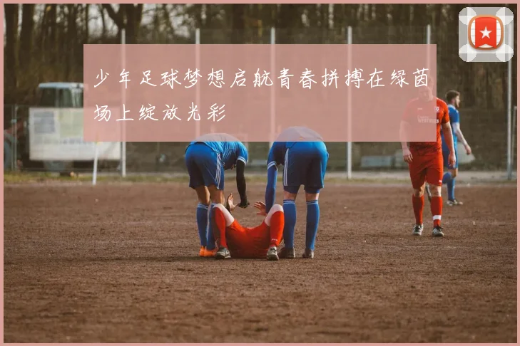 少年足球梦想启航青春拼搏在绿茵场上绽放光彩